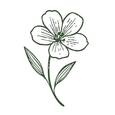 Blomma utan bakgrund